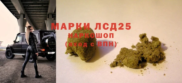 стаф Арсеньев
