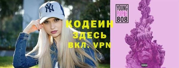 стаф Арсеньев