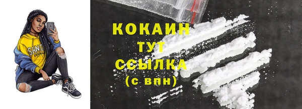 стаф Арсеньев