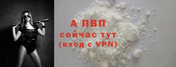 стаф Арсеньев