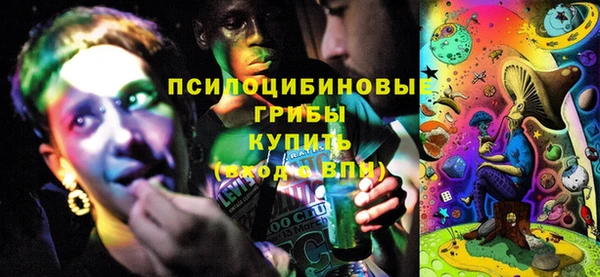стаф Арсеньев