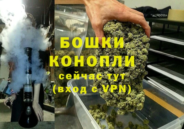 стаф Арсеньев