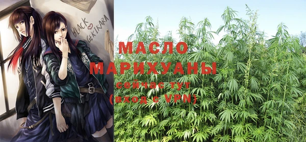 стаф Арсеньев