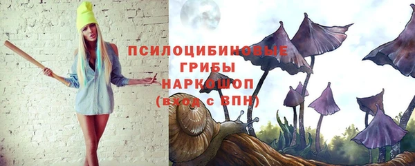 Альфа ПВП Армянск