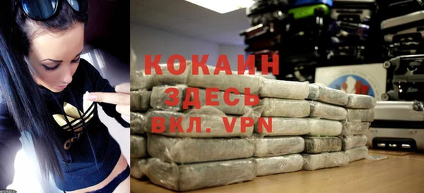 стаф Арсеньев