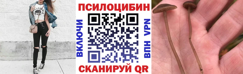 omg tor  Зима  Псилоцибиновые грибы мухоморы  даркнет сайт 